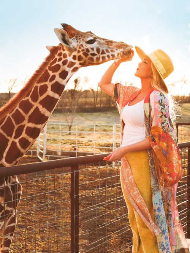 Bottle Feed Baby Giraffes at Texas Animal Sanctuary Blue Hills Ranch