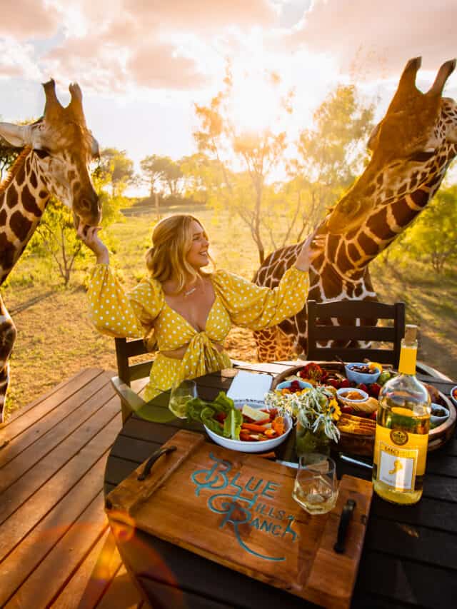 Dine with Giraffes at This Ranch in Texas - mellowyellowpay